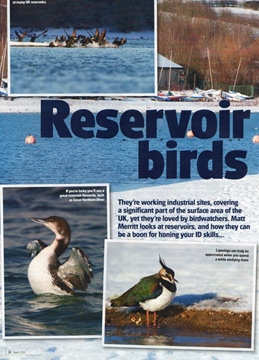 March 2010 - Birdwatching Magazine